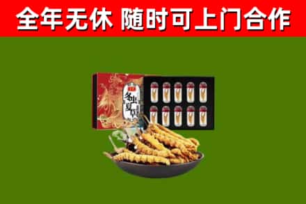 和田县烟酒回收冬虫夏草礼盒.jpg