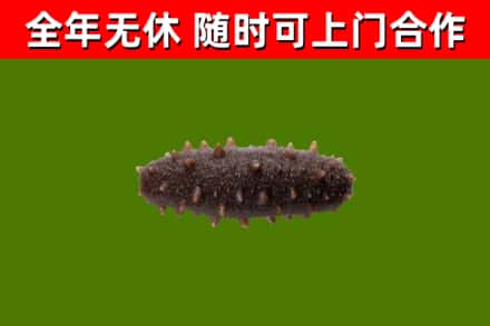 和田县烟酒回收干海参.jpg